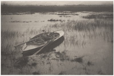 Myśliwy zbliżający się do ptactwa łownego autorstwa Peter Henry Emerson