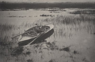 Strzelec podnoszący się do ptactwa autorstwa Peter Henry Emerson