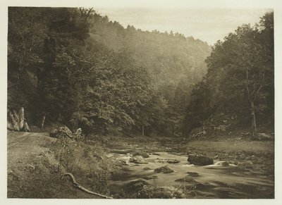 W Dove Dale (Staffordshire Side) autorstwa Peter Henry Emerson