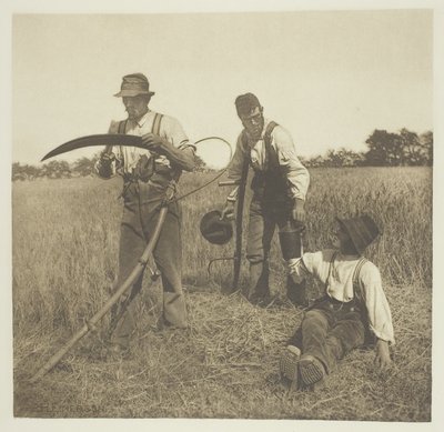 W żniwach jęczmienia (Suffolk) autorstwa Peter Henry Emerson