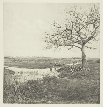 Marsz bezlistny (Suffolk) autorstwa Peter Henry Emerson
