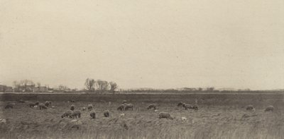 Bagna nad Morzem Północnym autorstwa Peter Henry Emerson
