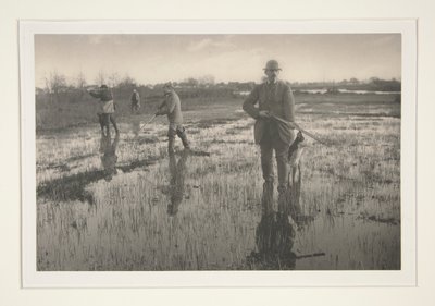 Mężczyźni polujący na bagnach autorstwa Peter Henry Emerson