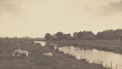 Na rzece Bure autorstwa Peter Henry Emerson