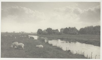 Na rzece Bure autorstwa Peter Henry Emerson