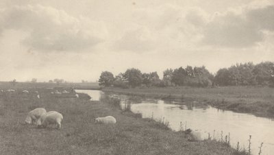 Na rzece Bure, 1886. autorstwa Peter Henry Emerson