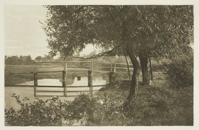 Na "Sow", w pobliżu domu Waltona w Shallowford autorstwa Peter Henry Emerson
