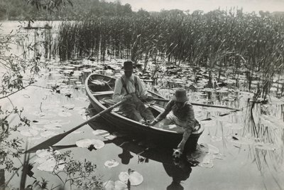 Jeden z czterdziestu platynowych grafik z „Life and Landscape on the Norfolk Broads” autorstwa Peter Henry Emerson