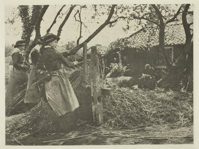 Osier-Peeling (Norfolk) autorstwa Peter Henry Emerson