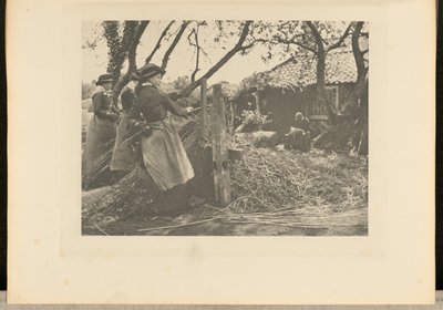 OsierPeeling. [Norfolk]]. autorstwa Peter Henry Emerson