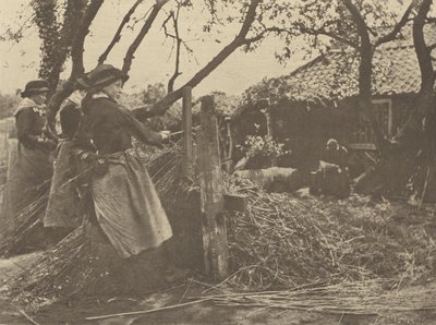 OsierPeeling. [Norfolk]]. autorstwa Peter Henry Emerson