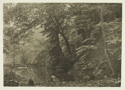 "Pike Pool" (od dołu) autorstwa Peter Henry Emerson