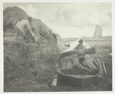 Ricking the Reed autorstwa Peter Henry Emerson