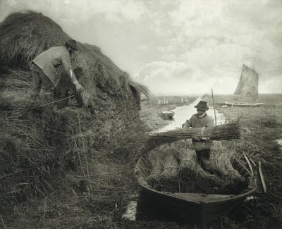 Układanie trzcin w stogi autorstwa Peter Henry Emerson