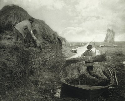 Ricking the Reed, ok.1885 (odbitka platynowa) autorstwa Peter Henry Emerson