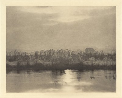 Kryształy szronu autorstwa Peter Henry Emerson