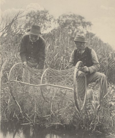 Konfiguracja Bow-Net autorstwa Peter Henry Emerson