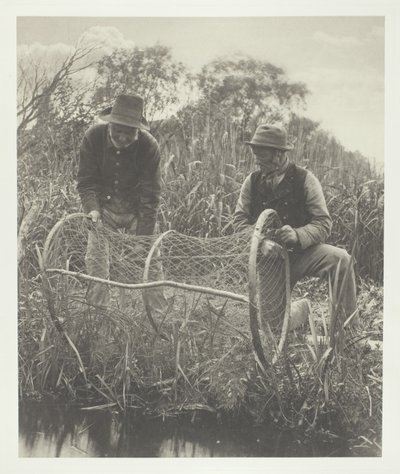 Konfiguracja sieci łukowej autorstwa Peter Henry Emerson