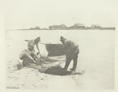 Wytapianie na rzece Blythe (Suffolk) autorstwa Peter Henry Emerson