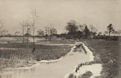 Krawędź Szerokości autorstwa Peter Henry Emerson