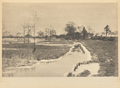 [The Edge of the Broad] autorstwa Peter Henry Emerson