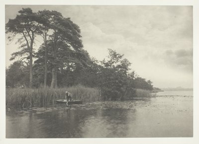 Nawiedzenie szczupaka autorstwa Peter Henry Emerson