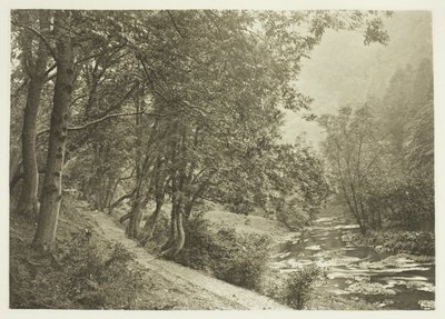 Ścieżka nad The First Brae, Dove Dale autorstwa Peter Henry Emerson