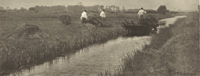  autorstwa Peter Henry Emerson
