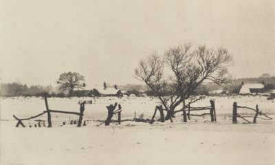 Śnieżne Bagna autorstwa Peter Henry Emerson