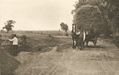 Bogactwo bagien autorstwa Peter Henry Emerson