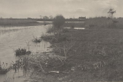 Jesienny poranek autorstwa Peter Henry Emerson and T.F. Goodall