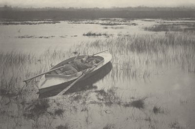 Strzelec podnoszący się do ptactwa autorstwa Peter Henry Emerson and T.F. Goodall
