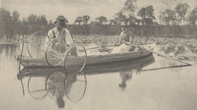 Ustawianie sieci łukowej autorstwa Peter Henry Emerson and T.F. Goodall