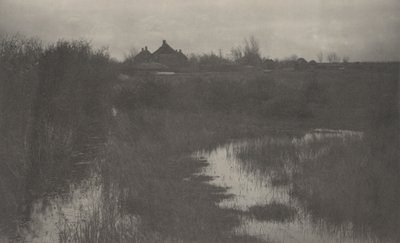 Skraj bagna autorstwa Peter Henry Emerson and T.F. Goodall