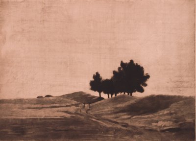 Wieczorny krajobraz autorstwa Peter Vilhelm Ilsted