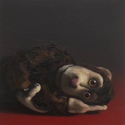 Toby Małpa, 2017 autorstwa Peter Jones