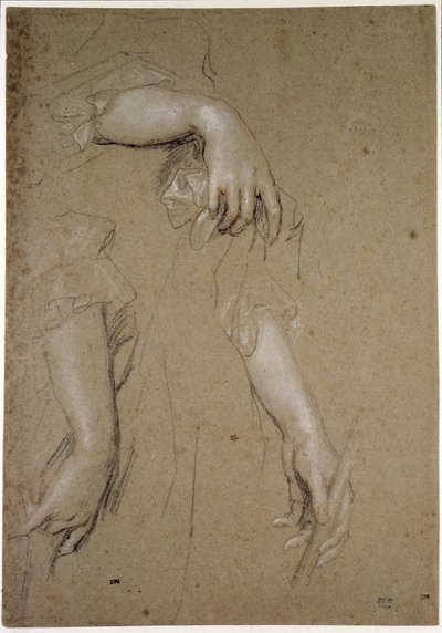 Studia dłoni, XVII w. (kreda na papierze) autorstwa Peter Lely