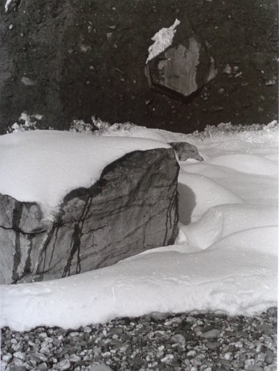 VINTAGE B&W FOTO nr 3, 1985, (FOTOGRAFIA) autorstwa Peter McClure