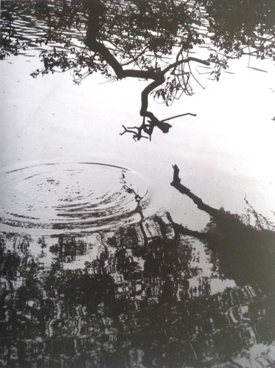 VINTAGE B&W ZDJĘCIE nr 5, 1986, (FOTOGRAFIA) autorstwa Peter McClure