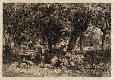 (Owce w sadzie) autorstwa Peter Moran