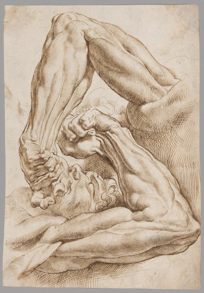 Arkusz badań anatomicznych autorstwa Peter Paul Rubens