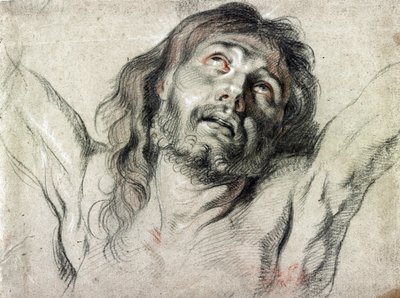Głowa Chrystusa na krzyżu – Peter Paul Rubens (rysunek) autorstwa Peter Paul Rubens