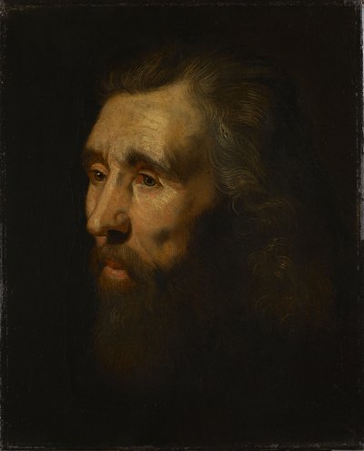 Głowa brodatego mężczyzny autorstwa Peter Paul Rubens