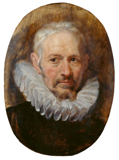 Głowa starca (olej na desce) autorstwa Peter Paul Rubens