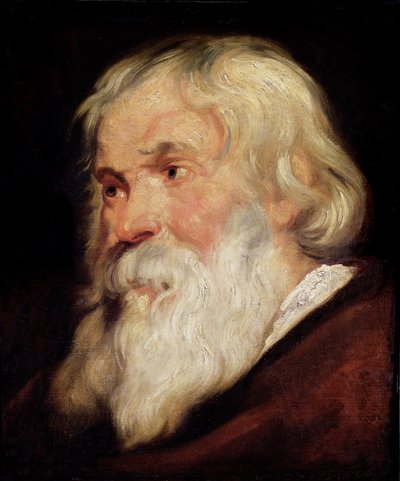 Głowa starego człowieka autorstwa Peter Paul Rubens