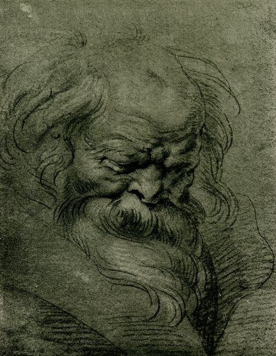 Studium główne dla Bachusa autorstwa Peter Paul Rubens