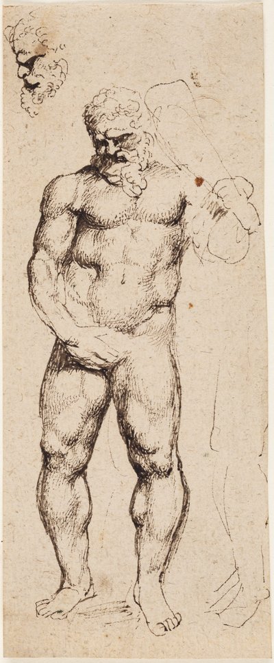 Herkules autorstwa Peter Paul Rubens