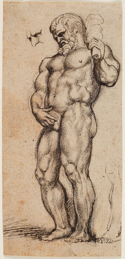 Herkules autorstwa Peter Paul Rubens