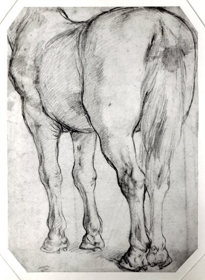Tył konia autorstwa Peter Paul Rubens