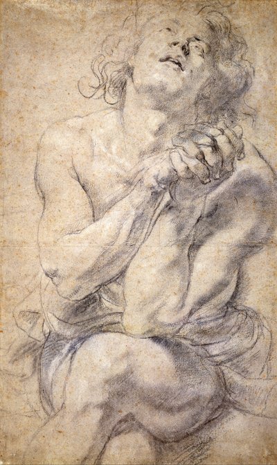 Siedzący młodzieniec (studium dla Daniela) autorstwa Peter Paul Rubens